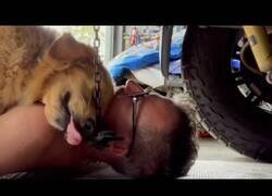 Enlace a Por eso los mecánicos no pueden llevarse trabajo a casa