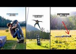 Enlace a ¿Cómo pelean los diferentes animales?