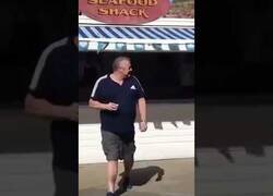 Enlace a Un hombre noquea a una gaviota que volaba hacia él