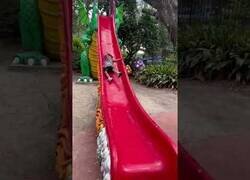 Enlace a Nunca más volvió a subirse a un tobogán