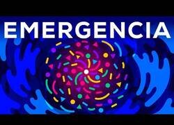 Enlace a ¿Por qué muchos seres tontos si se juntan pueden hacer cosas inteligentes?