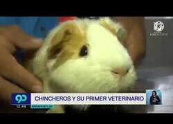 Enlace a No me esperaba este final...