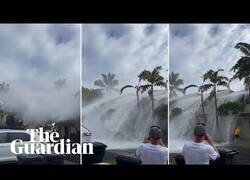 Enlace a El histórico oleaje en Hawaii de los últimos días