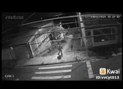 Enlace a Un ladrón huye de la policía, un hombre huye de su mujer y un gato huye de un perro