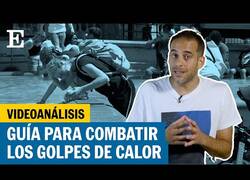 Enlace a ¿Cómo prevenir y evitar un golpe de calor?