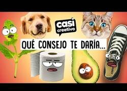 Enlace a Si los objetos pudieran aconsejarte...