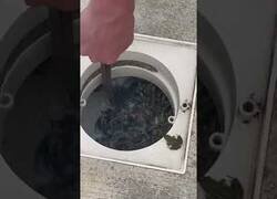 Enlace a Cuando las ranas invaden tu piscina