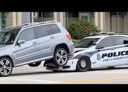 Enlace a Americanos siendo idiotas