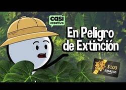 Enlace a La ortografía está en peligro de extinción
