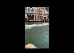 Enlace a El video viral de dos australianos multados surfeando por el Gran Canal de Venecia: “Son imbéciles”