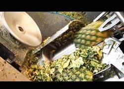 Enlace a Máquinas de alimentos y procesos de procesamiento