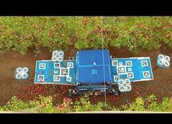 Enlace a Los drones cosechadores ya están aquí