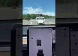 Enlace a El lío de este Tesla al intentar reconocer un carro