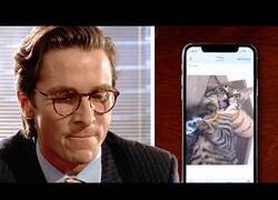 Enlace a American Psycho... pero con gatos