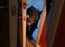 Enlace a Un educado oso cierra la puerta al salir