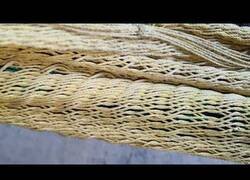 Enlace a ¡Cuidado, tío! Tienes un escorpión encima