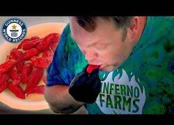 Enlace a El record de comer chilis picantes en un minuto