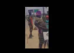 Enlace a Un hombre lleva a su cocodrilo al veterinario