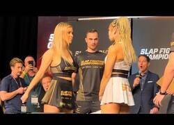 Enlace a Competición femenina de guantazos con Arnold Schwarzenegger como espectador de lujo