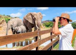 Enlace a Visitando el Zoo más grande de España