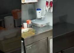 Enlace a Una rata salta dentro de la freidora de un restaurante