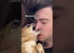 Enlace a Este perro es todo maldad