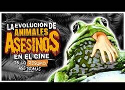 Enlace a Resumiendo la evolución de las películas con animales asesinos