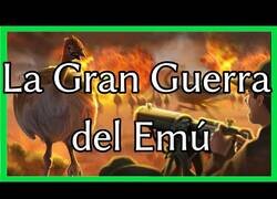 Enlace a El día que un ejército perdió contra emúes