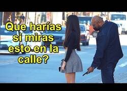 Enlace a ¿Qué harías si vieras esto en la calle?