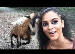 Enlace a El Karma actuando de manera instantánea