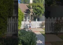 Enlace a Un niño no ve un esqueleto gigante hasta que lo tiene delante