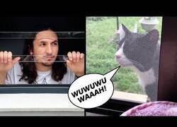 Enlace a The Kiffness le hace un remix al gato de su vecino