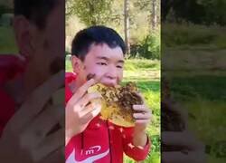 Enlace a Cuando tienes hambre de enjambre