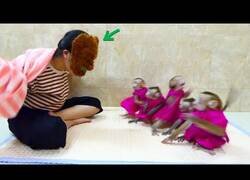 Enlace a Asustando monos con una máscara