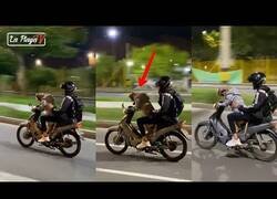Enlace a Captan a un perro conduciendo una moto en Medellín