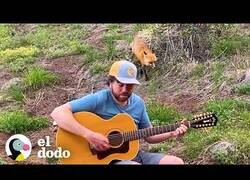 Enlace a El zorro al que le gusta escuchar tocar el banjo