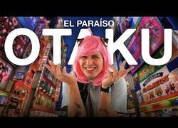 Enlace a 24 horas en el barrio más otaku de Japón
