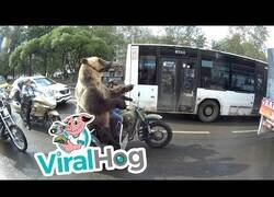 Enlace a Un día normal en Rusia