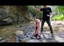 Enlace a Cómo NO cocinar un cordero