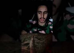 Enlace a Gamer es asustado por su gato