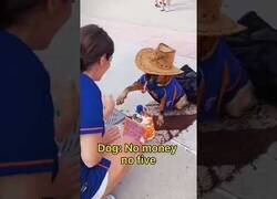 Enlace a El perro que no te choca los cinco si no le pagas