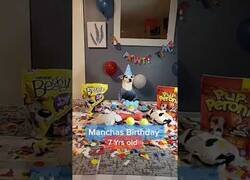 Enlace a Hoy es el cumpleaños de Manchas