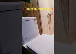 Enlace a Nunca sabes lo que puede haber detrás de tu váter