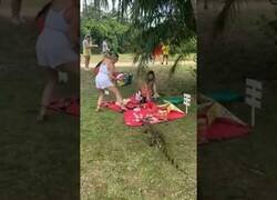 Enlace a Cuando un cocodrilo te fastidia el picnic
