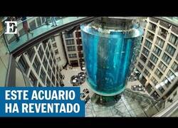 Enlace a El acuario más grande del mundo ha reventado