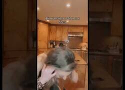 Enlace a Lo bien que lo puedes pasar con una botella de agua y los filtros de Snapchat