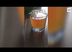 Enlace a El pajarito alcohólico