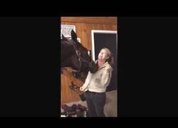 Enlace a Caballo descubre el uso de la cremallera