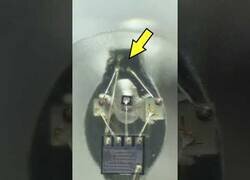 Enlace a Así se ve una luz LED bajo el microscopio