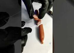 Enlace a Analizando una salchicha bajo el microscopio